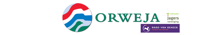 orweja logo collage v3 4